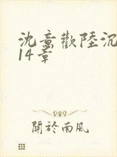 沈意欢陆沉舟第14章
