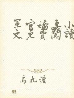 军官娇妻小说全文免费阅读