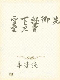 雪下轻卿先婚后爱免费