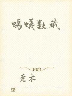 蚂蚁数藏