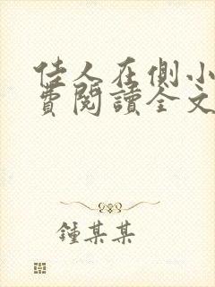 佳人在侧小说免费阅读全文无弹窗