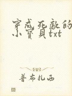 穿成死敌的心尖小宝贝txt