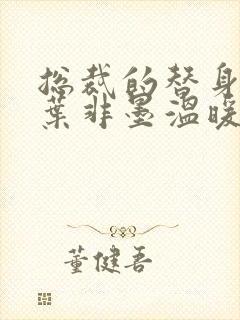 总裁的替身前妻叶非墨温暖txt