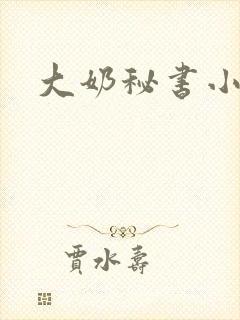 大奶秘书小说