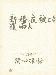 新婚夜被c翻云覆雨h