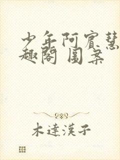 少年阿宾慧钰笔趣阁 图案