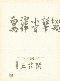 白洁小说txt无弹窗笔趣阁