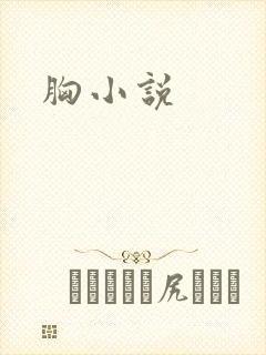 胸小说