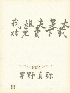 我姐夫是太子txt免费下载封面