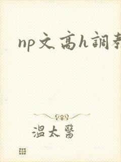 np文高h调教