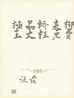 极品轿夫柳如烟王大柱免费阅读