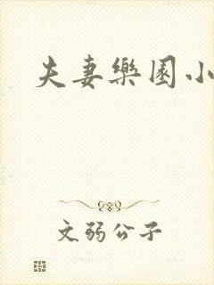 夫妻乐园小说