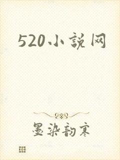 520小说网