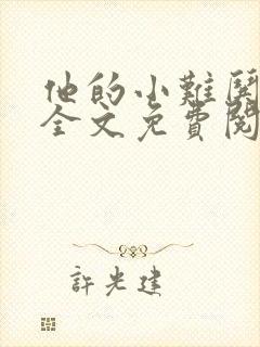 他的小难哄小说全文免费阅读