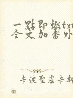 一点即燃txt全文加番外