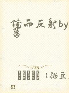 镜面反射by九葛