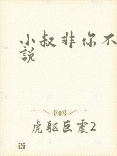 小叔非你不可小说