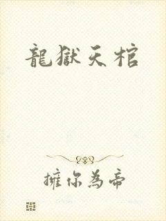 龙狱天棺封面