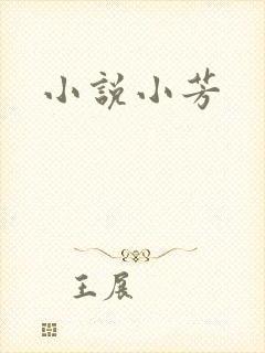 小说小芳