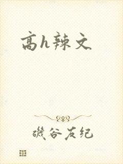 高h辣文封面