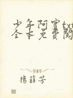 少年阿宾txt全本免费阅读