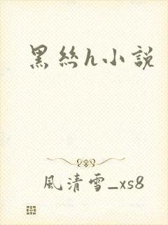 黑丝h小说