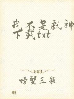 我不是戏神小说下载txt