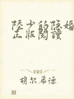 陆少的隐婚罪妻正版阅读