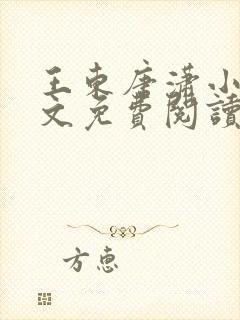 王东唐潇小说全文免费阅读全集