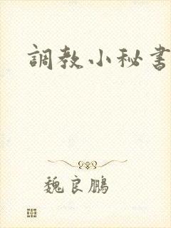 调教小秘书