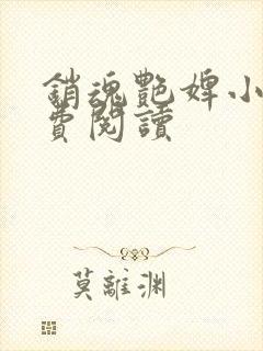 销魂艳婢小说免费阅读