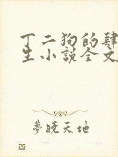 丁二狗的肆意人生小说全文听封面