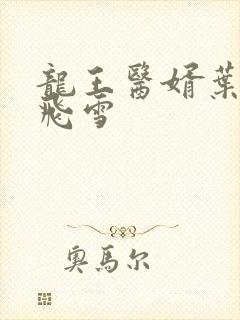龙王医婿叶凡唐飞雪