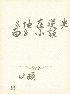 《他在逆光中告白》小说