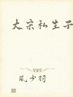 大宋私生子