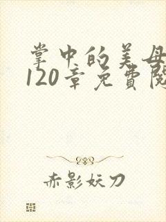掌中的美母版主120章免费阅读