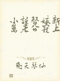 小说替嫁新娘亿万老公宠上天