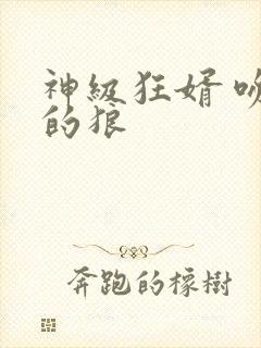 神级狂婿 吻天的狼