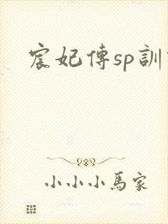 宸妃传sp训诫