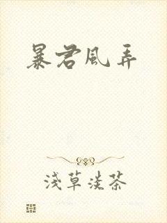 暴君风弄封面