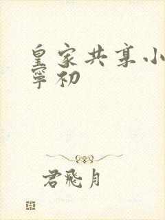 皇家共享小公主宁初