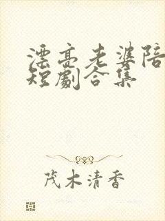 漂亮老婆陪过年短剧合集
