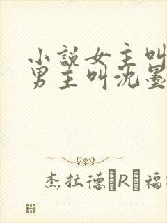 小说女主叫苏桃男主叫沈墨尘