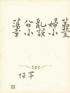 荡公乱妇第51章小说小莹