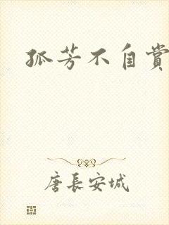 孤芳不自赏小说