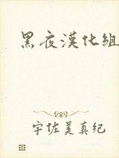 黑夜汉化组