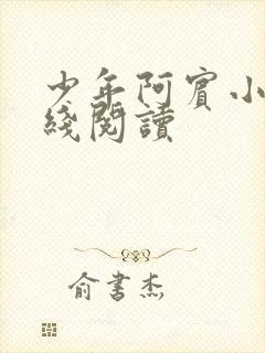 少年阿宾小说在线阅读
