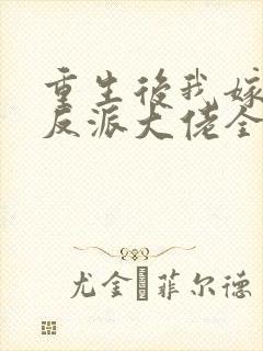 重生后我嫁给了反派大佬全文免费阅读封面