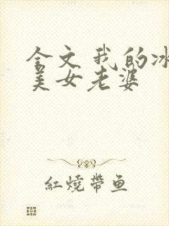全文 我的冰山美女老婆封面