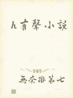 h有声小说